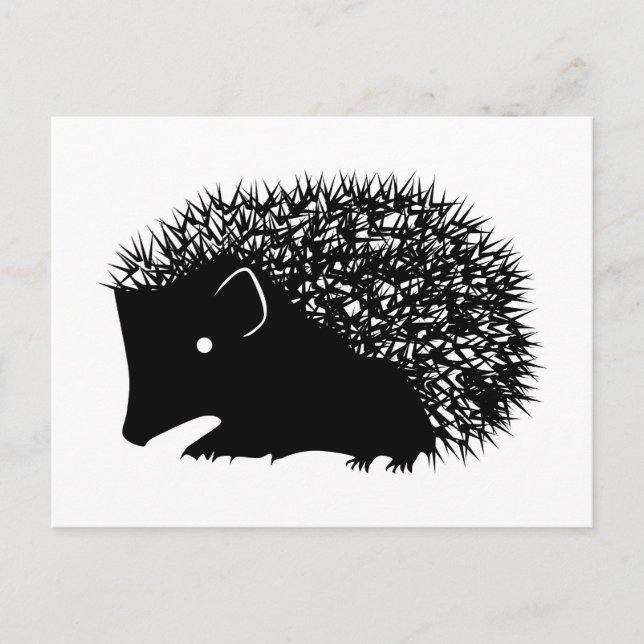 Hedgehog postcards (Front)