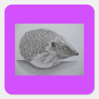 Hedgehog Products (2) Square Sticker