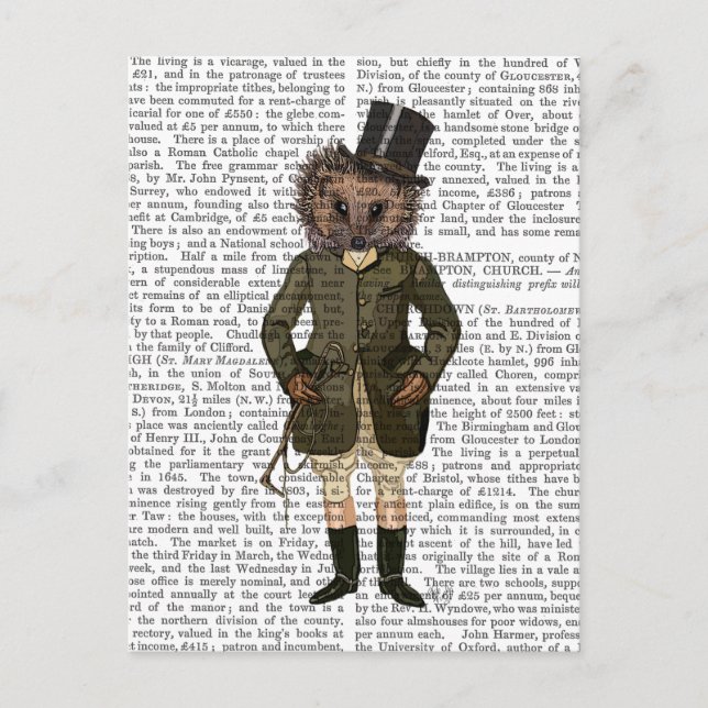 Hedgehog Rider Full Postcard (Front)