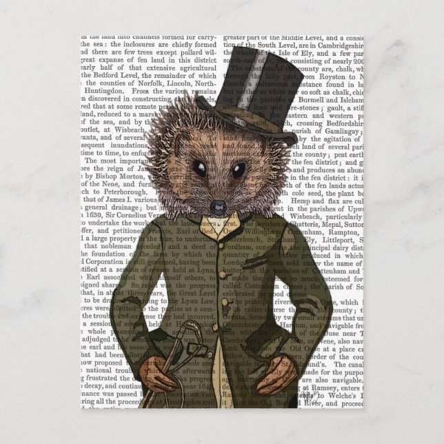 Hedgehog Rider Portrait Postcard (Front)