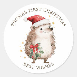Hedgehog Santa Hat Baby 1st Christmas Classic Round Sticker