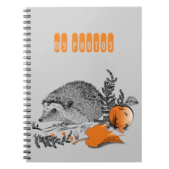 Hedgehog Spiral Notebook (Front)