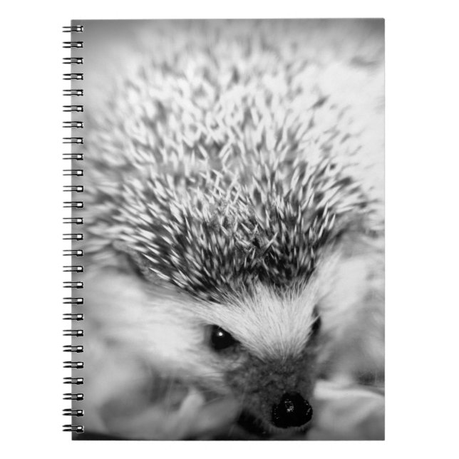hedgehog spiral notebook (Front)