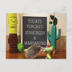 Hedgehog Sunscreen and Margaritas Postcard