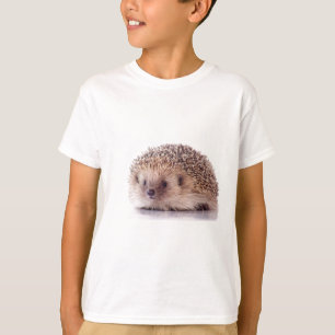 Hedgehog, T-Shirt