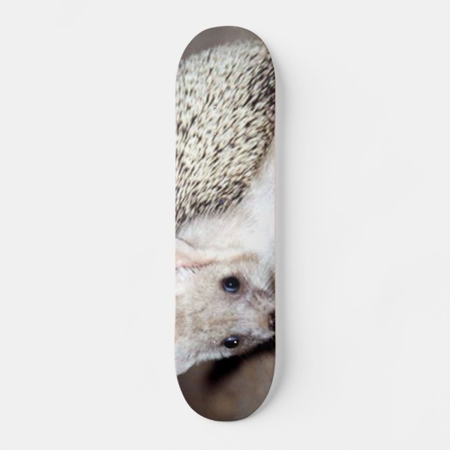Hedgehog - The Spiny Mammal Skateboard (Front)
