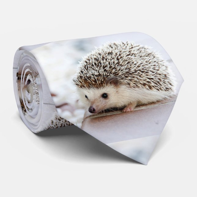 Hedgehog Tie (Rolled)