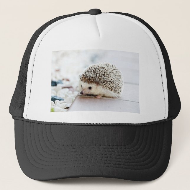 Hedgehog Trucker Hat (Front)