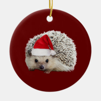 Hedgehog With Hat Scaft Christmas Ceramic Tree Decoration