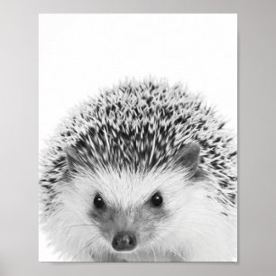 Hedgehog Woodland Kids Room Decor