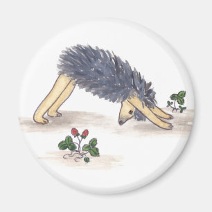 Hedgehog Yoga Magnet