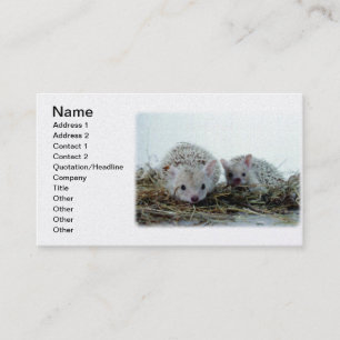 Hedgehogs as Pets Business Card