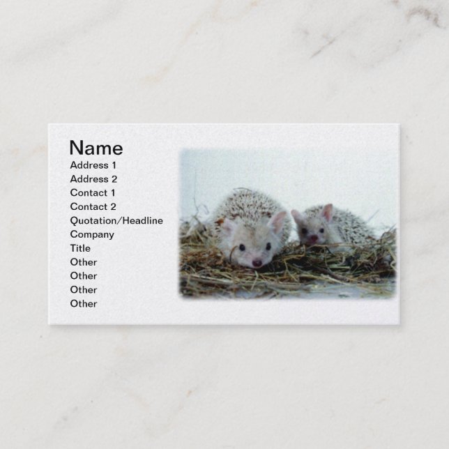 Hedgehogs as Pets Business Card (Front)