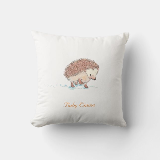 Hedgehog's Big Adventure  Cushion (Front)