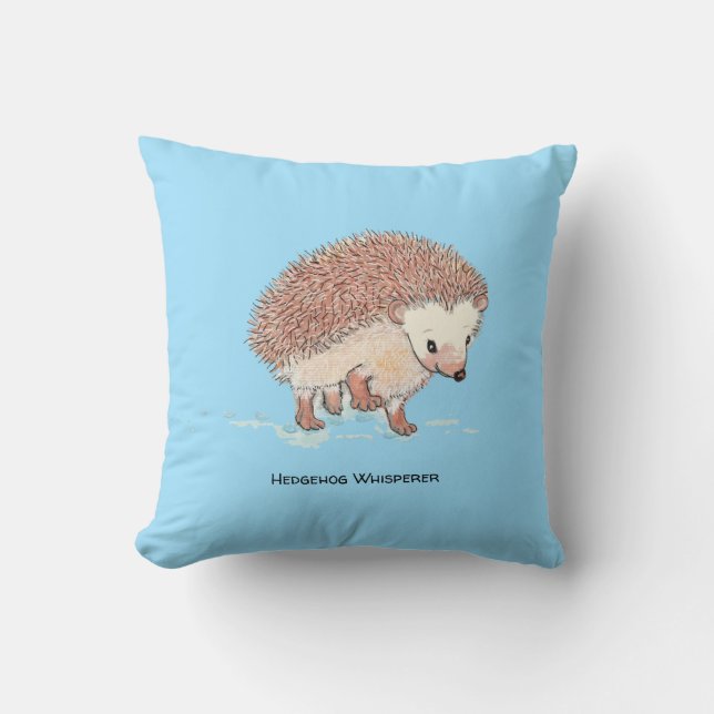 Hedgehog's Big Adventure  Cushion (Front)