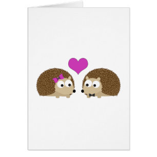 Hedgehogs in love