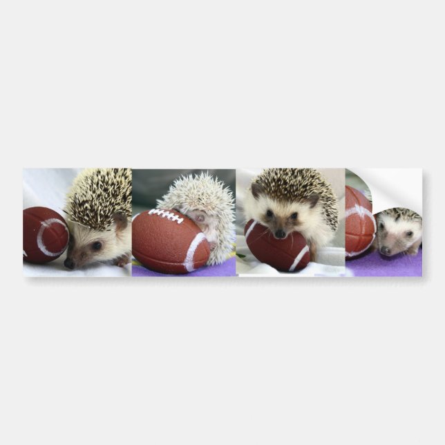 Hedgehogs Playing Football Bumper Sticker (Front)