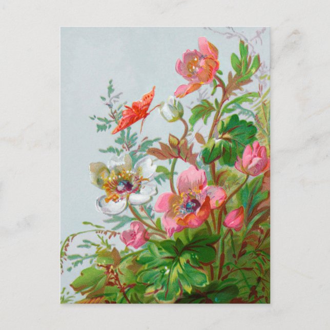 Hedgerow Garden Postcard (Front)
