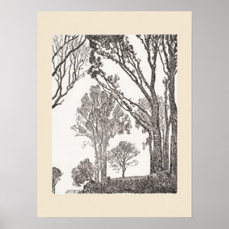  Hedgerows Cornwall Eleanor Hughes ReStrike Poster
