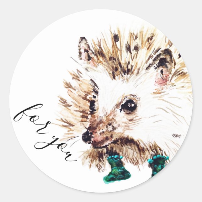 Hedgie in Socks  Classic Round Sticker (Front)