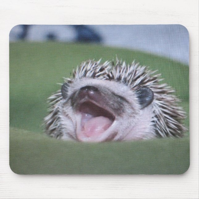 hedgy mouse pad (Front)