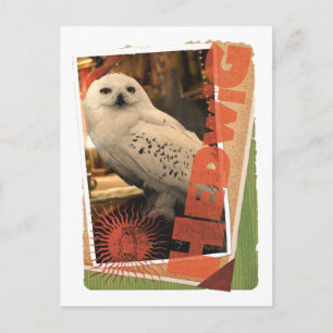 Hedwig 1 postcard