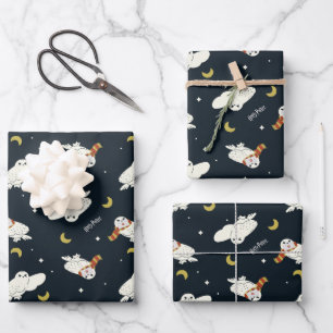 Hedwig Nighttime Moonlight Pattern Wrapping Paper Sheet