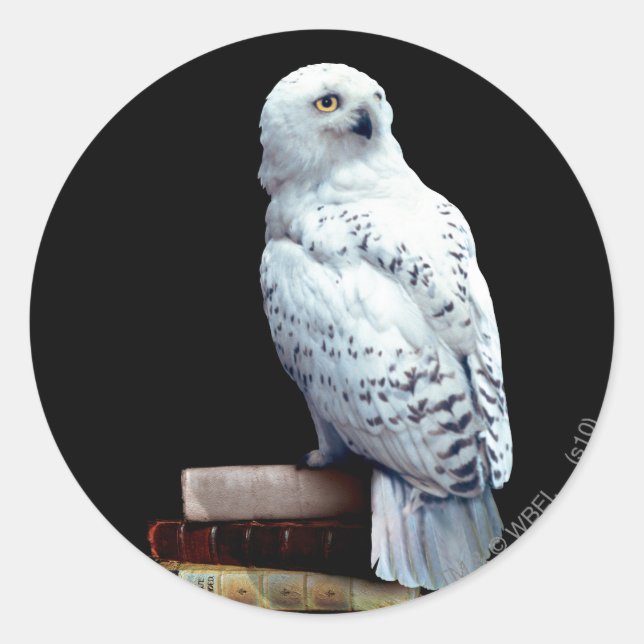 Hedwig on books classic round sticker (Front)
