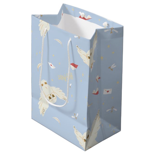Hedwig Owl Post Letters and Books Pattern Medium Gift Bag (Front Angled)