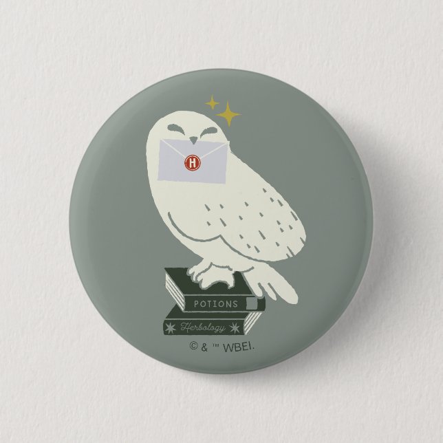 Hedwig With Letter Whimsical Drawing 6 Cm Round Badge (Front)
