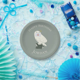 Hedwig With Letter Whimsical Drawing Paper Plate