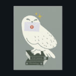 Hedwig With Letter Whimsical Drawing Postcard<br><div class="desc">Deliver a little magic with this charming Hedwig illustration inspired by the wizarding world. Perched atop a stack of spellbinding textbooks labeled Potions and Herbology, Hedwig proudly holds a sealed Hogwarts™ letter. The soft, minimalist style and muted tones give this design a cozy, storybook feel, while subtle sparkling accents add...</div>