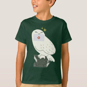 Hedwig With Letter Whimsical Drawing T-Shirt