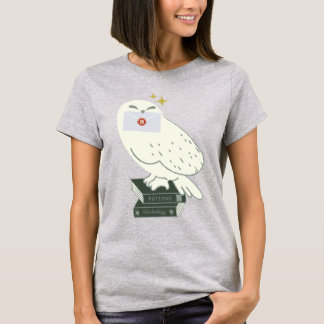 Hedwig With Letter Whimsical Drawing T-Shirt