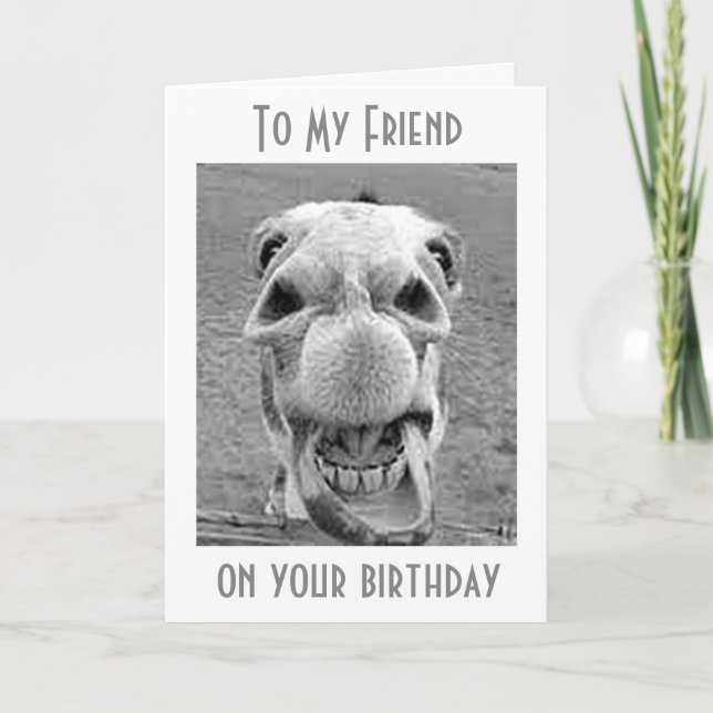 HEE HAW YOU ARE A YEAR OLDER-BIRTHDAY HUMOR CARD (Front)