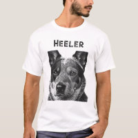 Heeler Blue Heeler Dog