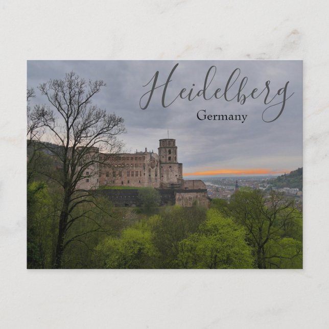 Heidelberg Germany Postcard with Castle (Front)