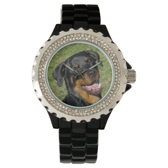 Heidi Cute Rottweiler Watch (Front)