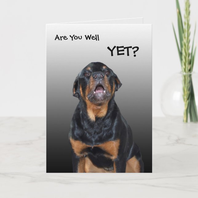 Heidi "Get Well Soon" Greeting Card (Front)