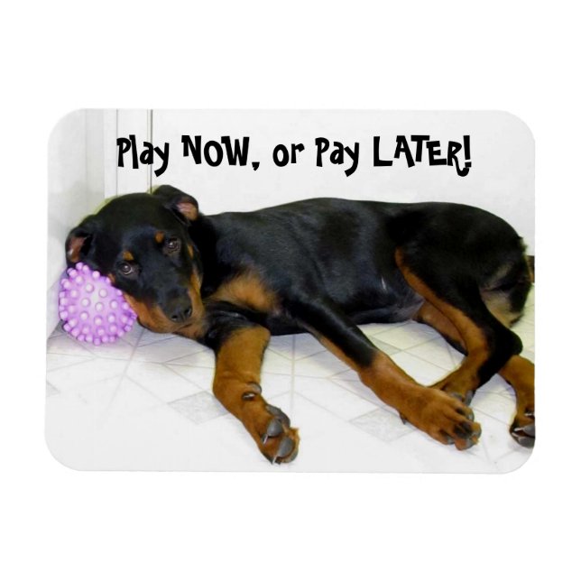 Heidi Play Now, or Pay Later Magnet (Horizontal)