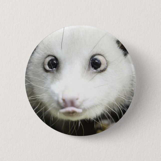 Heidi The Cross Eyed Opossum 6 Cm Round Badge (Front)