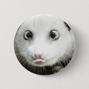 Heidi The Cross Eyed Opossum 6 Cm Round Badge