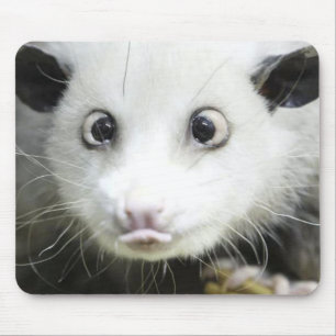 Heidi The Cross Eyed Opossum Mouse Pad