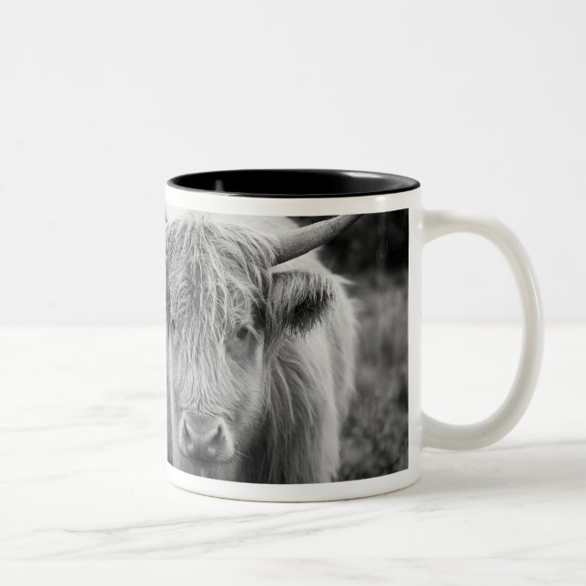 Heilan'  Coo Mug (Right)
