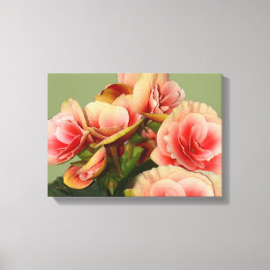 Heirloom Begonias 2 Canvas Print
