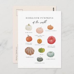 Heirloom Pumpkins Fall Postcard
