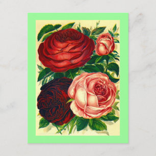 HEIRLOOM ROSES ~ PRETTY GRADUATION PARTY INVITES! INVITATION