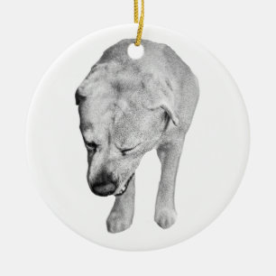Heirloom Shading, Labrador Keepsake Ceramic Tree Decoration