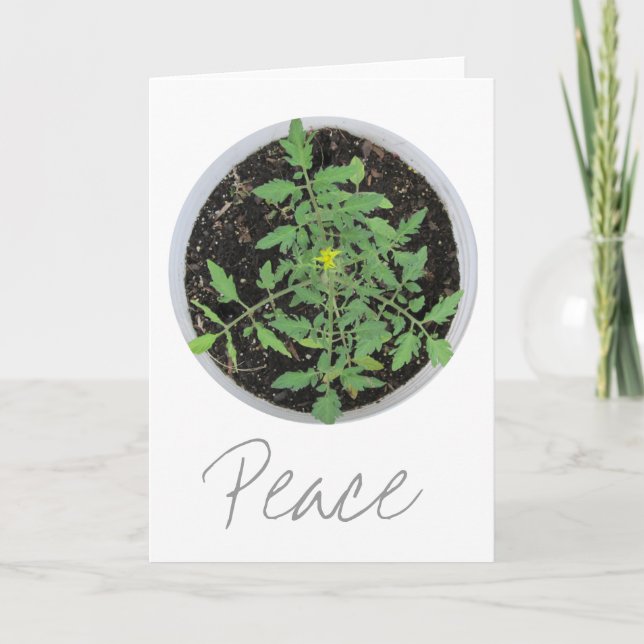 Heirloom Tomato Plant Peace Sign Greeting Cards (Front)