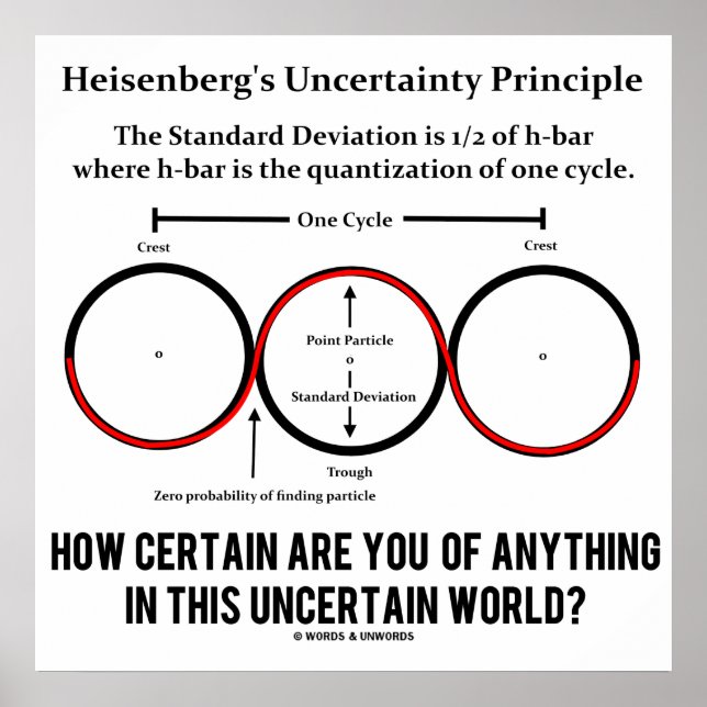 Heisenberg's Uncertainty Principle Physics Humour Poster (Front)